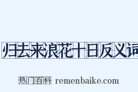 归去来浪花十日反义词是什么意思的图片